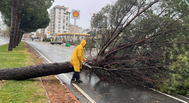 Kahramanmaraş’ta fırtına ve tipi hayatı olumsuz etkiliyor