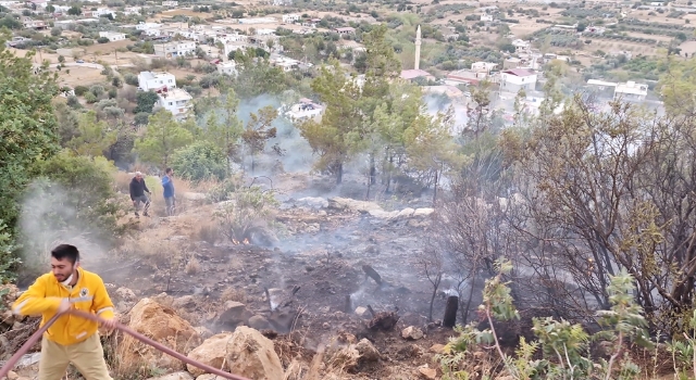 Mersin’de çıkan orman yangını kontrol altına alındı