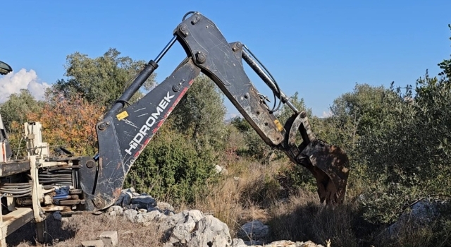 Mersin’de yem tedariki yapılmadığı ileri sürülen çiftlikteki tavuklar telef oldu