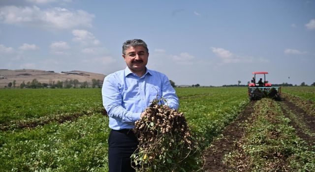 Osmaniye Yer Fıstığına “Adana Fıstığı” Denmesi Osmaniyelileri Ayağa Kaldırdı