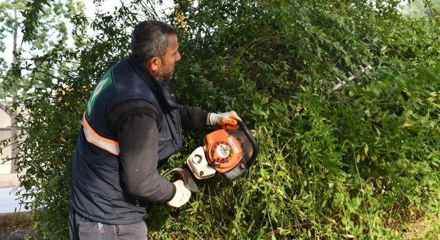 Parklar ve Sokaklar Kartpostallık Görüntülerle Donatılıyor