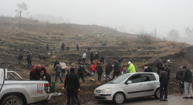 Aladağ’da imamlar 10 bin fidan dikti