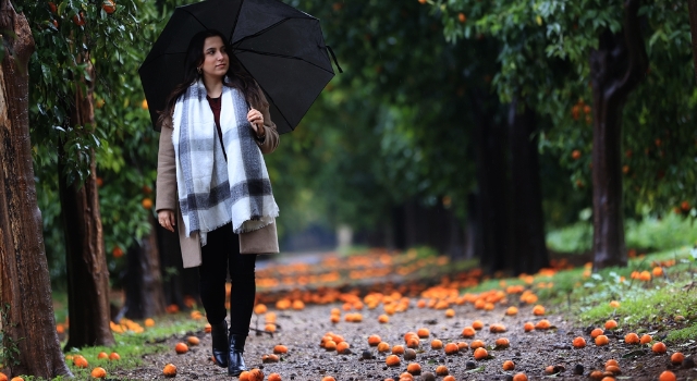 Antalya’daki ”turunç yolu” fotoğrafçıların uğrak adresi oldu