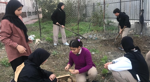 Bozyazı’da öğrenciler patates tohumlarını toprakla buluşturdu