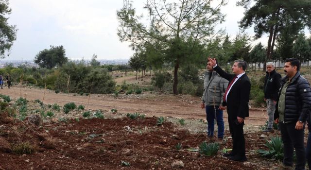 Dörtyol'da Sokak Hayvanları İçin Modern Bakım Evi İnşa Ediliyor