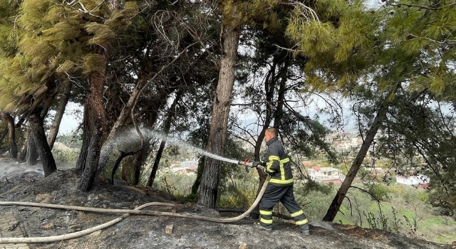 Hatay’da çamlıkta çıkan yangın söndürüldü