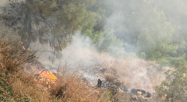 Hatay’da ormanlık alanda çıkan yangın söndürüldü