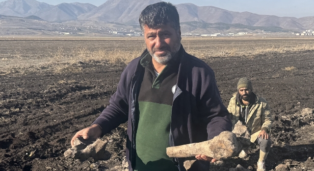 Kahramanmaraş’ta tarlada fil kemikleri bulundu