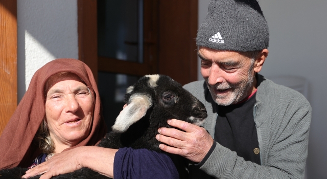 Kar fırtınasından AFAD ekiplerince kurtarılan yaşlı kadın kuzusuna kavuştu