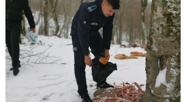 Düziçi’nde Yaban Hayvanları İçin Yemleme Etkinliği