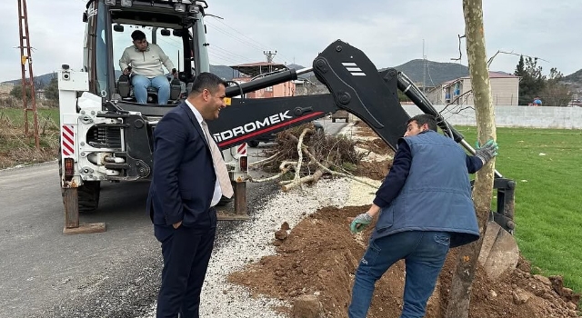 Hasanbeyli'de Geleceğe Nefes: Çınar Ağaçları Dikiliyor