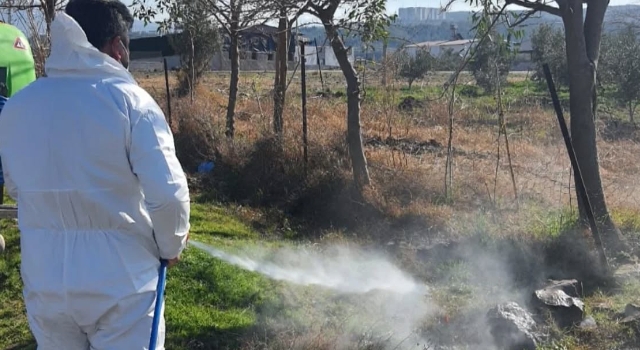 Yazın İlçenin Kabusu Olan Sivrisinekle Mücadele Başladı