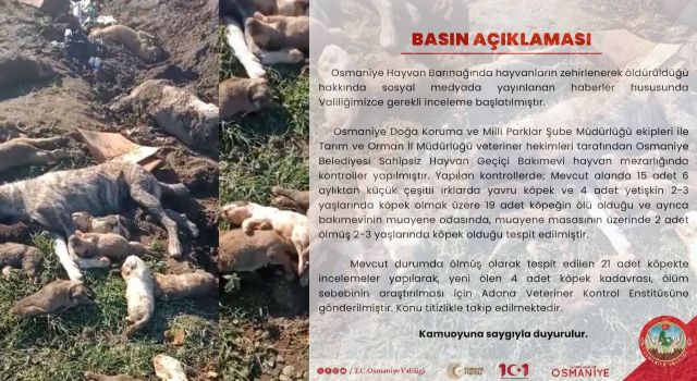 Barınaktaki Şüpheli Ölümler Üzerine Valilik İnceleme Başlattı