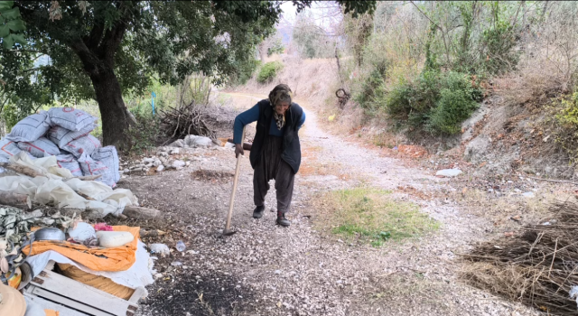 Yalnız Yaşayan Şerife Nineye Belediyeden Yardım Eli