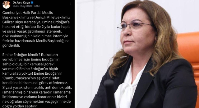 CHP'li Asu Kaya'dan Gülizar Biçer Karaca'ya Açılan Davaya Sert Tepki