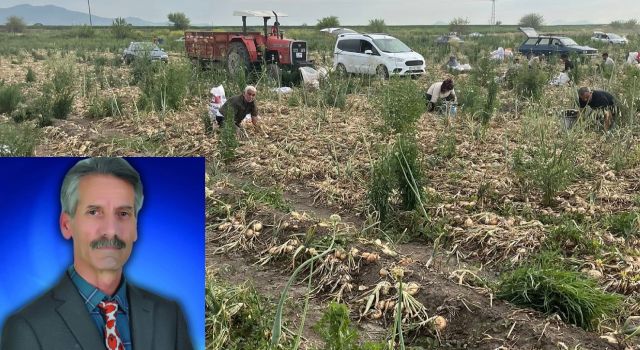 CHP'li Odabaşı Soğan Üreticisinin Mağduriyetini Gündeme Taşıdı