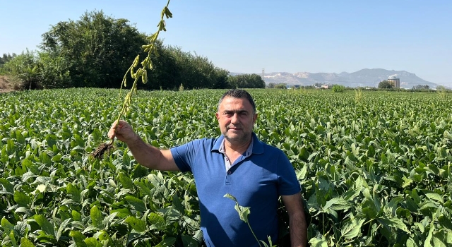 Osmaniye’de Soya Fasulyesi Tarlalarında Kontroller Yapıld