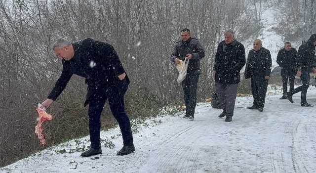 Düziçi Belediyesi Soğuk Havalarda Can Dostları Unutmadı