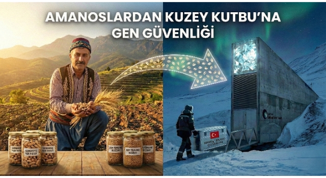 Osmaniye Genetik Mirası Kuzey Kutbu’nda Korunuyor