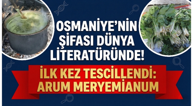 Amanoslar’da Keşfedildi, Annesinin Adıyla Bilime Kazandırıldı