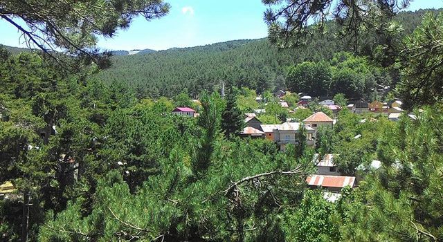 Osmaniye'de Ormanlara Giriş Yasağı
