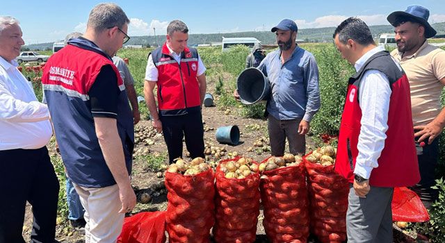 Osmaniye’de Soğan Üreticileri Yeni Sezona Başladı