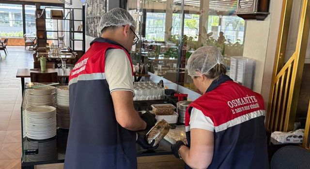 Osmaniye'de Dondurma ve Pastacılık Ürünlerine Yaz Denetimi