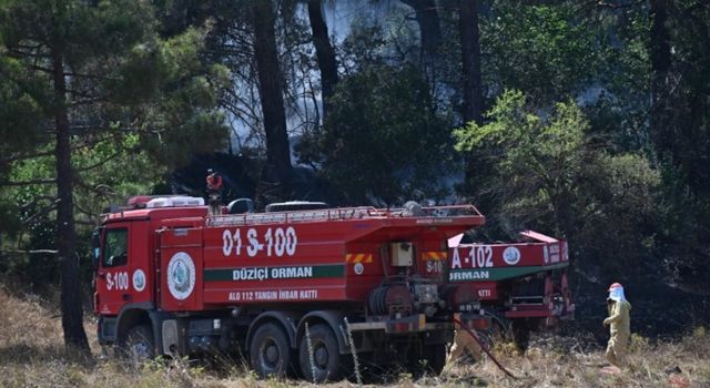 Osmaniye'de Orman Yangını Kontrol Altına Alınma Aşamasına Geldi