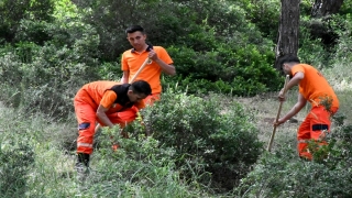 Adana ve çevre illerde ”Orman Benim” kampanyası düzenlendi