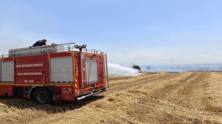 Reyhanlı’da tarlada çıkan yangın söndürüldü