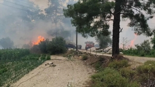 Burdur’da çıkan orman yangını kontrol altına alındı