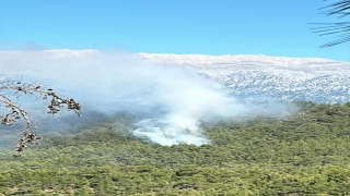 Manavgat’ta çıkan orman yangını kontrol altına alınmaya çalışılıyor