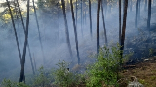 Burdur’da iki yerde çıkan orman yangını söndürüldü