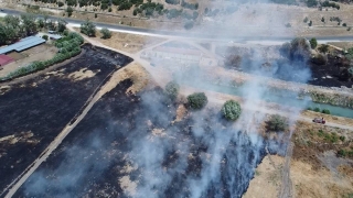 Isparta’da Eğirdir Gölü kıyısındaki sazlıkta çıkan yangın kontrol altına alındı