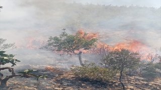 Mersin’de zirai alanda çıkan yangın söndürüldü 