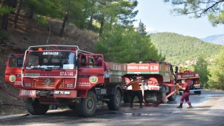 Antalya’nın Serik ilçesindeki orman yangını kontrol altına alındı