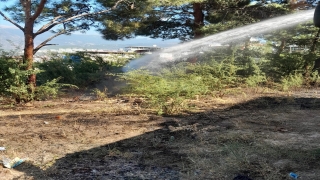 Hatay’da çıkan bahçe yangını söndürüldü