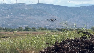 Samandağ’da haşereyle mücadele kapsamında dronla ilaçlama yapıldı