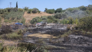 Antalya’da makilikten ormanlık alana ve bahçelere sıçrayan yangın söndürüldü