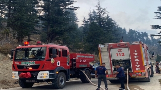 Osmaniye’de ormanlık alanda çıkan yangın kontrol altına alındı