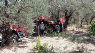 Altınözü’nde zeytin bahçesinde çıkan yangın söndürüldü