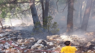 Burdur’da çıkan orman yangını söndürüldü