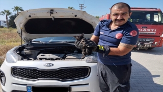 Hatay’da cipin motor kısmına sıkışan kedi yavrusunu itfaiye kurtardı