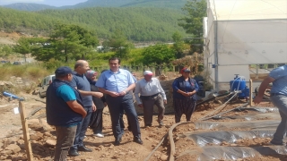 Bozyazı Kaymakamı Tuncay Topsakaloğlu’ndan çilek üreticisine ziyaret