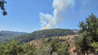 Antalya’nın Kaş ilçesinde orman yangını çıktı