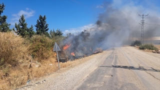 Hatay’da otluk alanda çıkan yangın söndürüldü