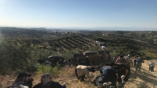 Osmaniye’de devrilen traktördeki 4 kişi yaralandı