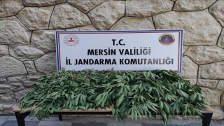 Mersin’de uyuşturucu operasyonunda 3 zanlı yakalandı