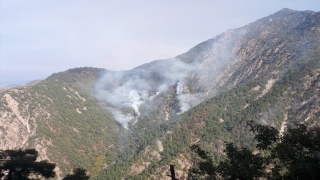 Kahramanmaraş’taki orman yangınına müdahale sürüyor