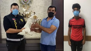Çalınan köpek, bulunup sahibine teslim edildi